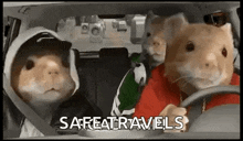 three hamsters are sitting in the back seat of a car wearing masks .