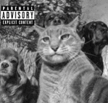 a black and white photo of a cat and two dogs with parental advisory explicit content