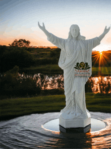 a statue of jesus with his arms outstretched is surrounded by water and a lotus flower