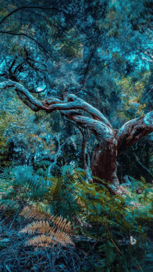 a painting of a tree in a forest with ferns