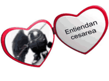 a heart shaped mirror with the words " entiendan cesarea " on it