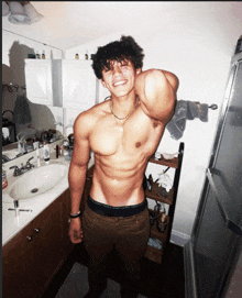 a shirtless man smiles in a bathroom with a sink