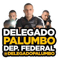 a poster for delegado palumbo dep federal