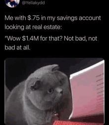 a cat is looking at a laptop screen with a caption that says me with $ .75 in my savings account