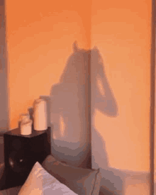 there is a shadow of a horse on the wall in a room .