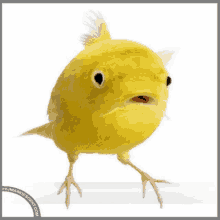 a yellow bird that looks like a fish with humandescention.com written on the bottom