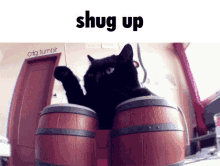 a black cat playing drums with the words shug up above