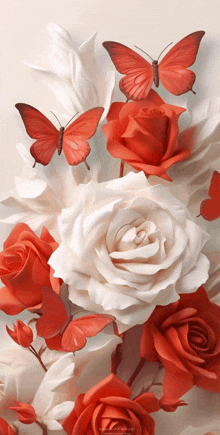 a bunch of red and white roses with butterflies on them