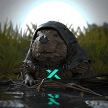 a beaver wearing a black hooded jacket with a green x on it