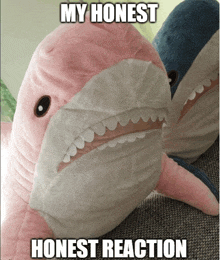 two stuffed sharks are sitting next to each other and the caption says my honest honest reaction