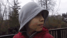 a person wearing a red jacket and a grey hood