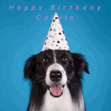 a black and white dog wearing a party hat that says happy birthday