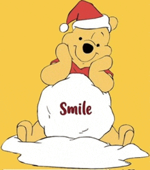 winnie the pooh wearing a santa hat is sitting on a pile of snow and smiling