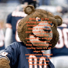 a teddy bear is wearing a chicago bears shirt