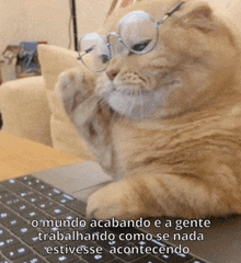 a cat wearing glasses is typing on a keyboard