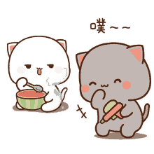 a cartoon cat is eating a watermelon and another cat is holding an ice cream scoop