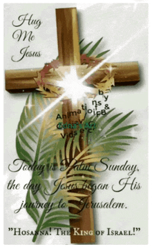 a cross with palm leaves and the words " hug me jesus " on it