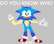 a drawing of sonic the hedgehog with the words " do you know who i am " above him