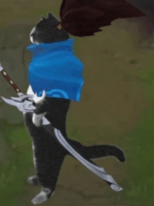 a black and white cat with a sword and a blue cape