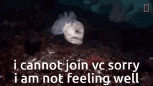 a picture of a fish with the words " i cannot join vc sorry i am not feeling well " below it