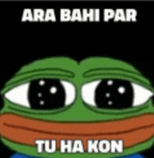 a cartoon frog with big eyes and the words ara bahi par tu ha kon on it