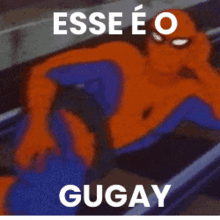 a cartoon of a spider man with the words esse e o gugay