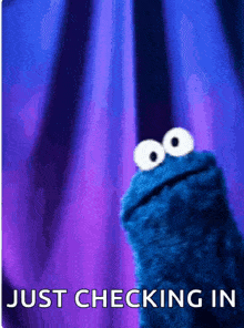 a cookie monster says just checking in in front of a blue curtain