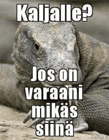 a lizard is laying on the ground with a caption that says `` kaljalla ? jos on varaani mikas siinä '' .