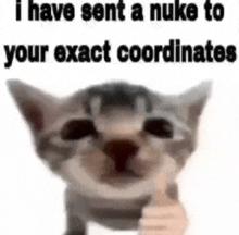 a kitten is giving a thumbs up and says `` i have sent a nuke to your exact coordinates '' .