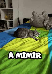 a cat is laying on a bed with the words a mimir written on it