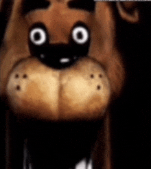 a close up of a teddy bear 's face with white eyes and a black nose .