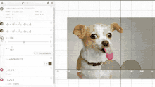 a computer screen shows a picture of a dog with its tongue out