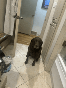 a dog sitting on a tile floor in a bathroom