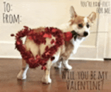 a corgi dog wearing a heart shaped wreath around its neck .