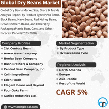 a poster titled global dry beans market with a picture of beans on it