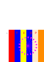 a red yellow blue and orange striped background with the letters txqp