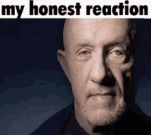 a bald man with a beard is looking at the camera with the words my honest reaction above him .