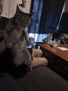 a man is holding a cat while sitting on a couch in a living room