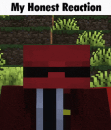 a picture of a minecraft character with the words " my honest reaction " on the bottom