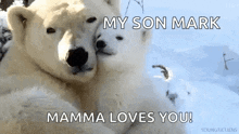 two polar bears are hugging each other in the snow with the caption `` my son mark mamma loves you ! ''