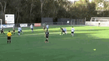 a group of soccer players are playing on a field with a sign that says premier league in the background