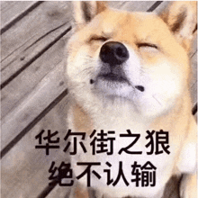 a dog with its eyes closed and chinese writing on it 's face .