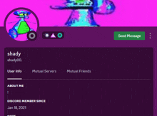 a screenshot of shady 's discord account with a green send message button