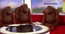 three orangutans are sitting around a table in a room .