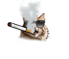 a cat wearing sunglasses is smoking a cigarette with smoke coming out of its mouth