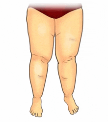 a cartoon illustration of a woman 's legs with a lot of fat on them .