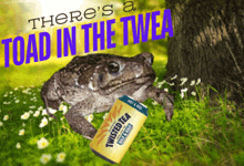 a frog with a can of twisted tea in front of it