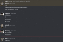 a screenshot of a discord conversation with walo