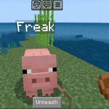 a screenshot of a minecraft game shows a pig and the word freak