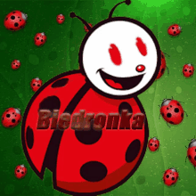 a cartoon ladybug with the word biedronka written on it